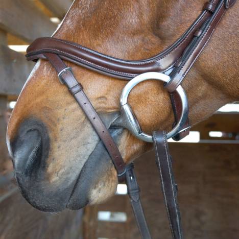 Nunn Finer Aforma Flash Bridle