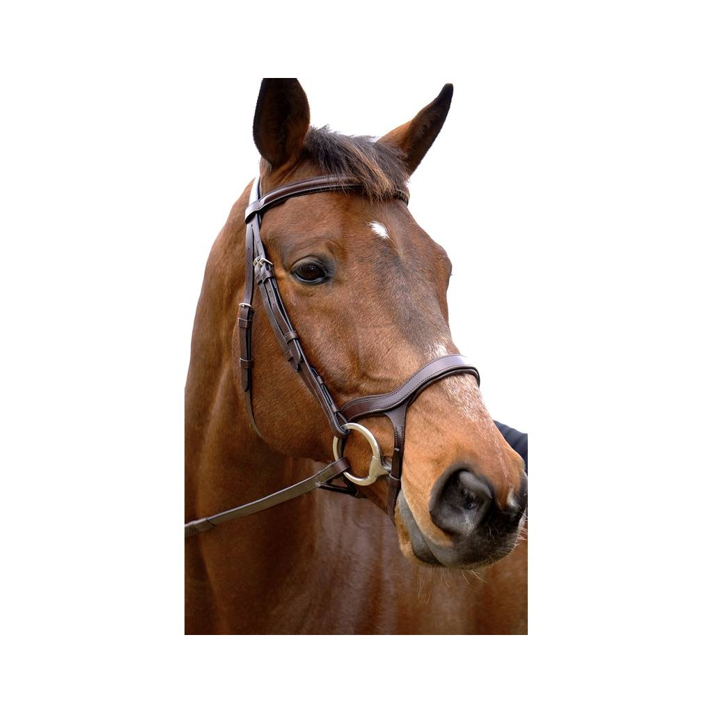 Nunn Finer Innovativo English Bridle with Rubber Reins