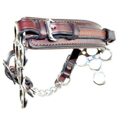 Nunn Finer Multiple Choice Hackamore