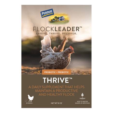 Perdue Flockleader Thrive Poultry Supplement