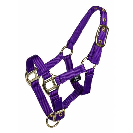 Gatsby 3/4" 2-ply Nylon Mini Halter with Adjustable Chin