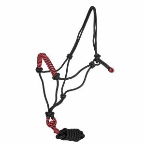 Tabelo Rope Halter with  Braided Noseband & Lead