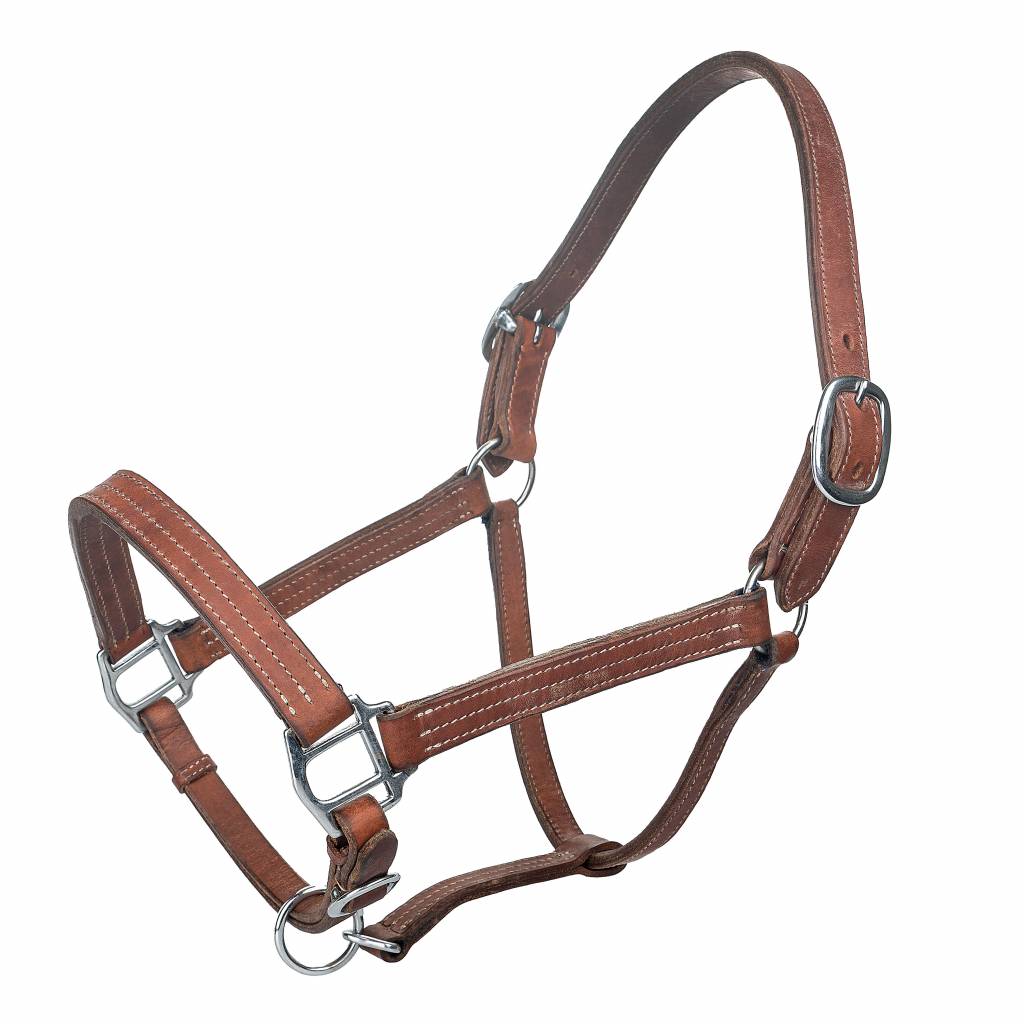 Tabelo Leather Halter with Adjustable Chin