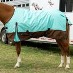 Reinsman Horse Blankets, Sheets & Coolers