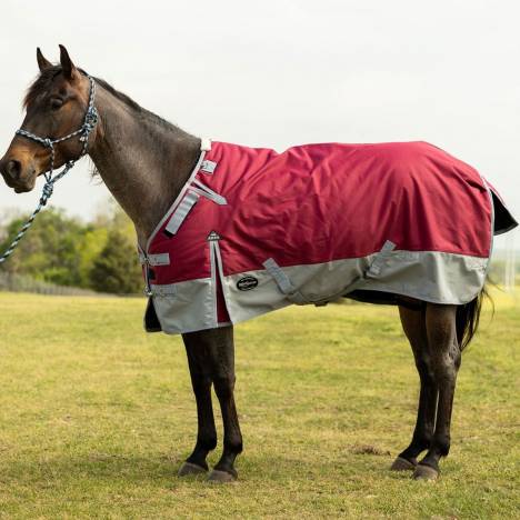 Reinsman Premium Heavyweight Waterproof Turnout Blanket