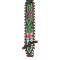 Circle Y Vibrant Garden Browband Headstall