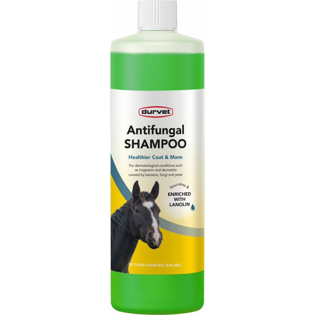 Durvet Antifungal Equine Shampoo