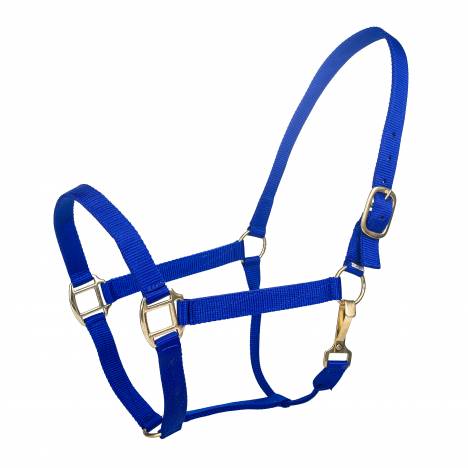 Tabelo Nylon Halter with Snap