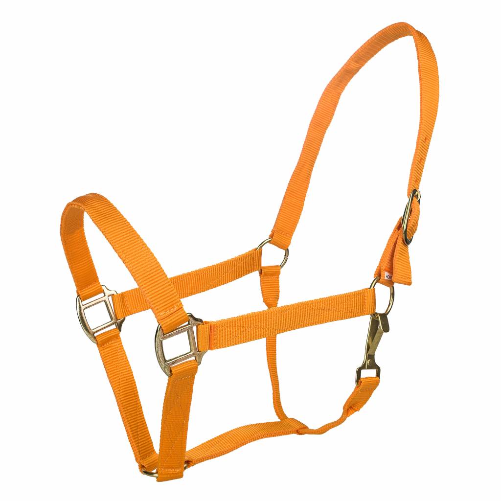 Tabelo Nylon Halter with Snap