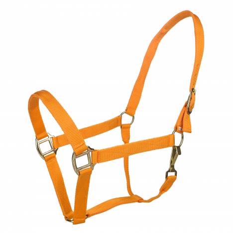 Tabelo Nylon Halter with Snap