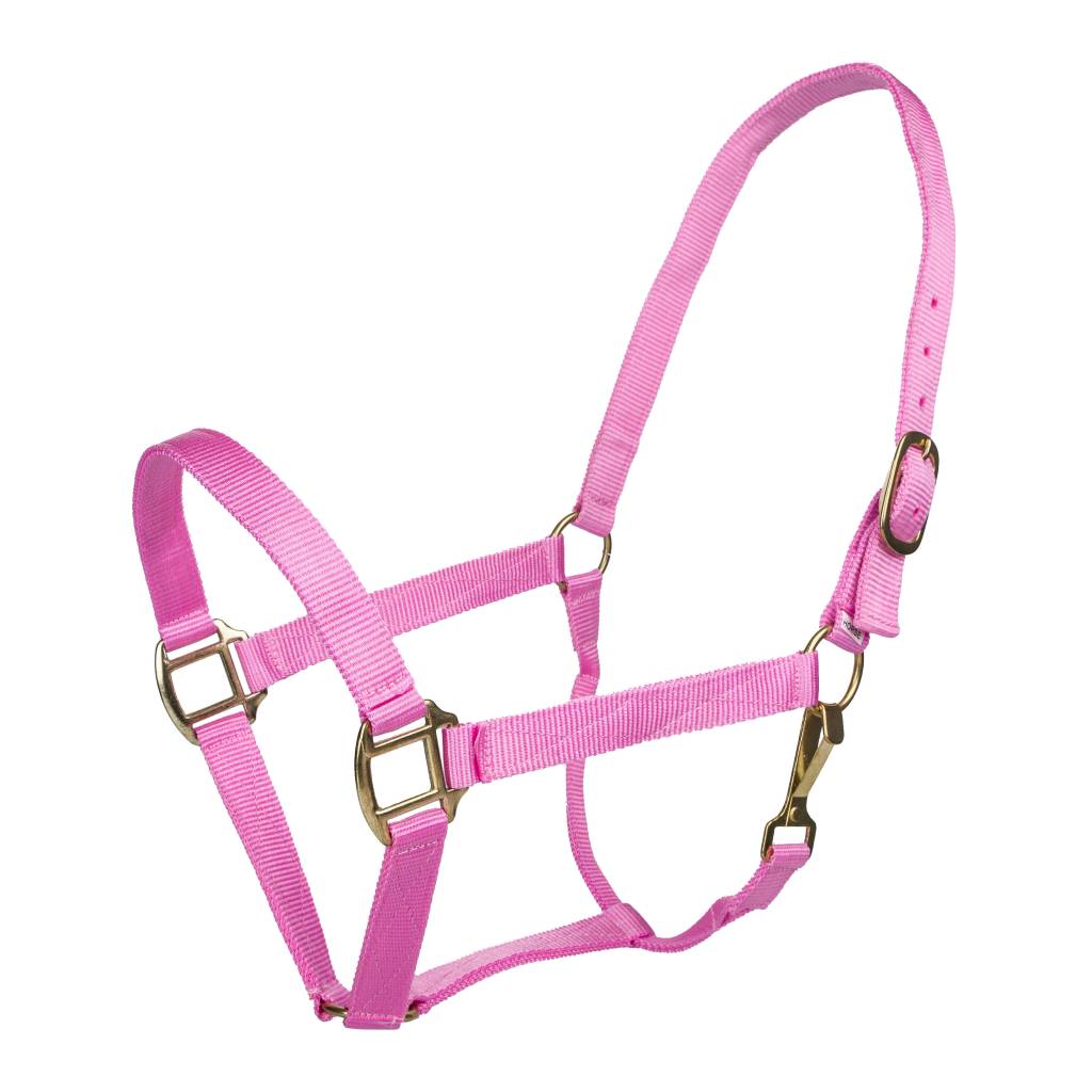 Tabelo Nylon Halter with Snap