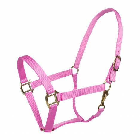 Tabelo Nylon Halter with Snap