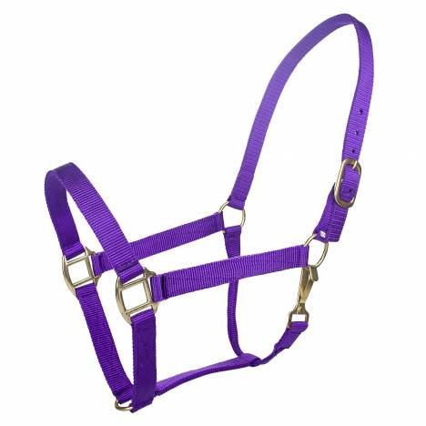 Tabelo Nylon Halter with Snap