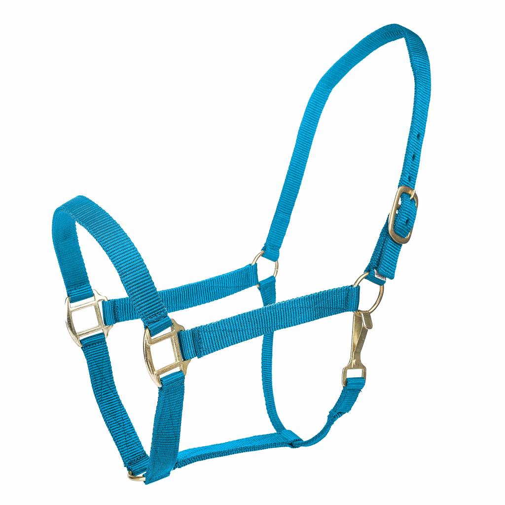 Tabelo Nylon Halter with Snap