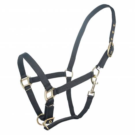 Tabelo Arab Nylon Halter with Snap