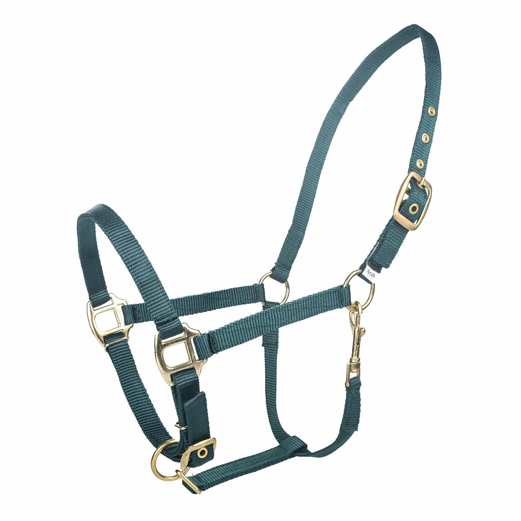 Tabelo Arab Nylon Halter with Snap