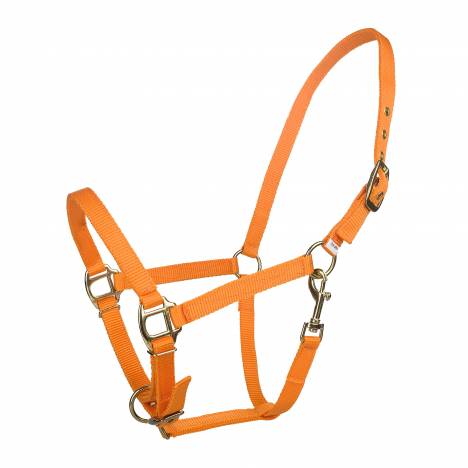 Tabelo Arab Nylon Halter with Snap