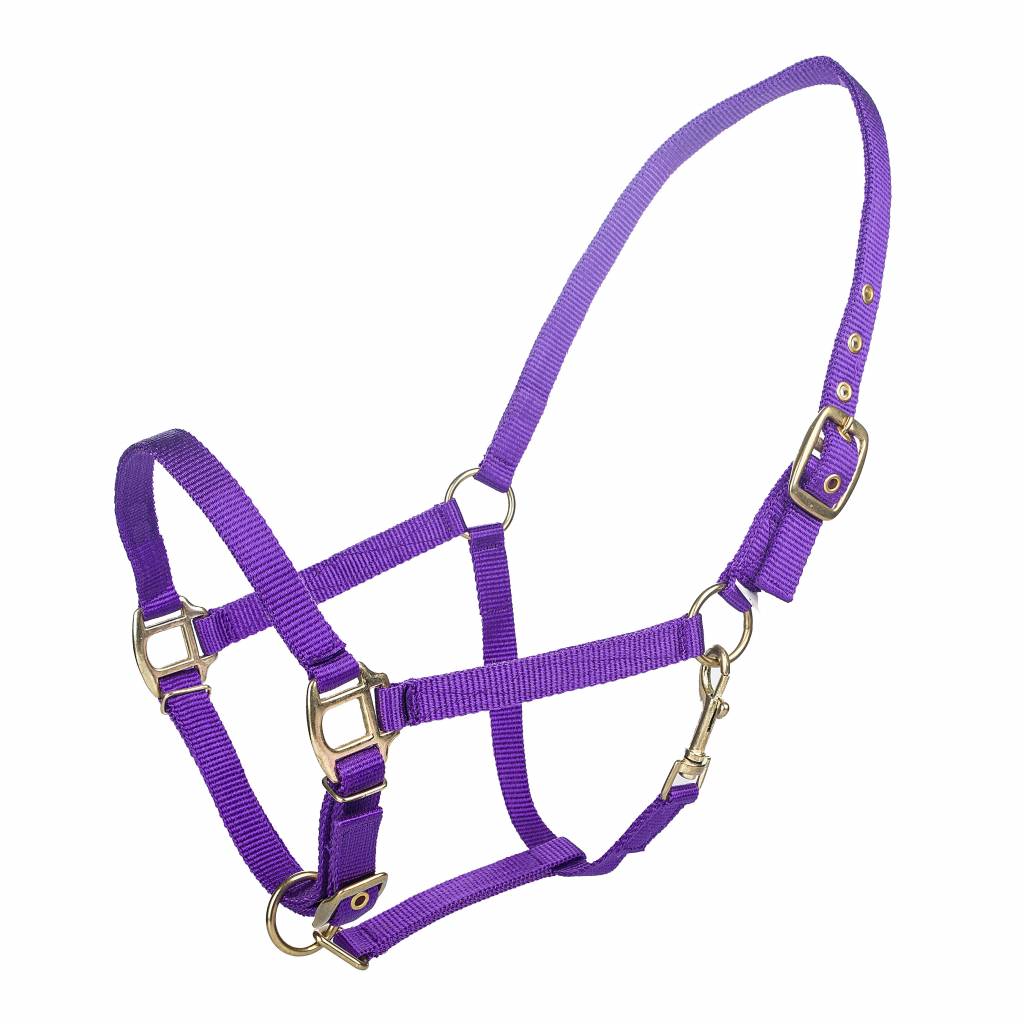 Tabelo Arab Nylon Halter with Snap