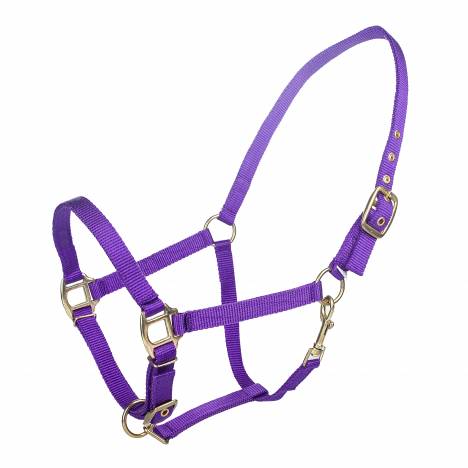 Tabelo Arab Nylon Halter with Snap