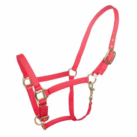 Tabelo Arab Nylon Halter with Snap