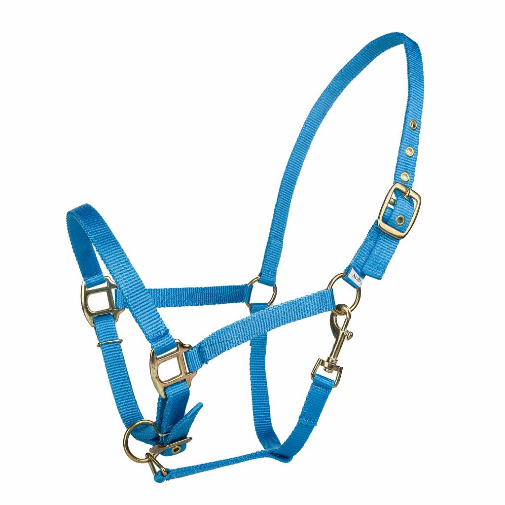 Tabelo Arab Nylon Halter with Snap