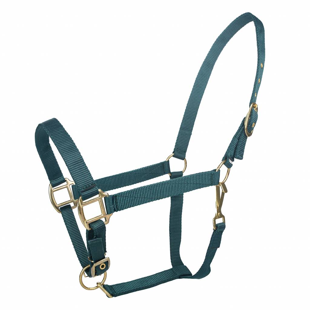 Tabelo Nylon Halter with Snap & Adj Chin