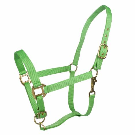 Tabelo Nylon Halter with Snap & Adj Chin