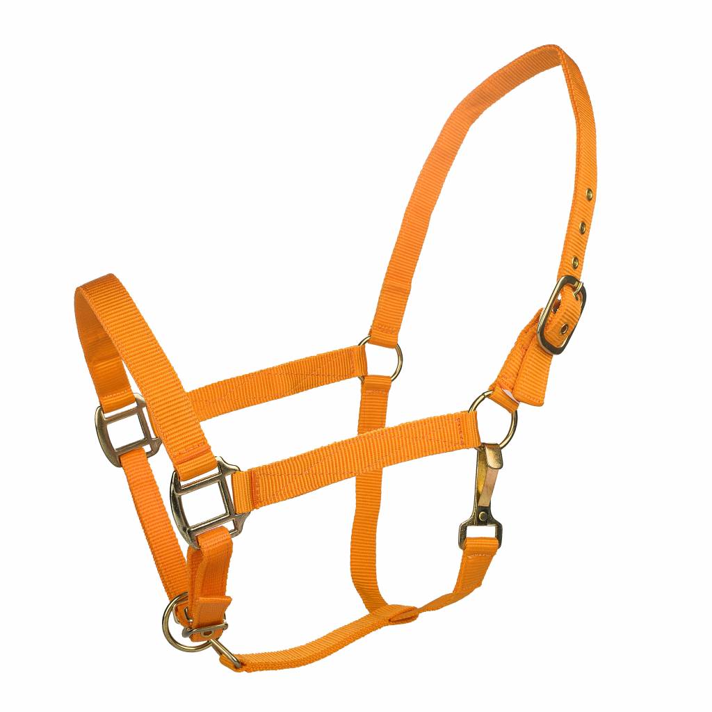 Tabelo Nylon Halter with Snap & Adj Chin