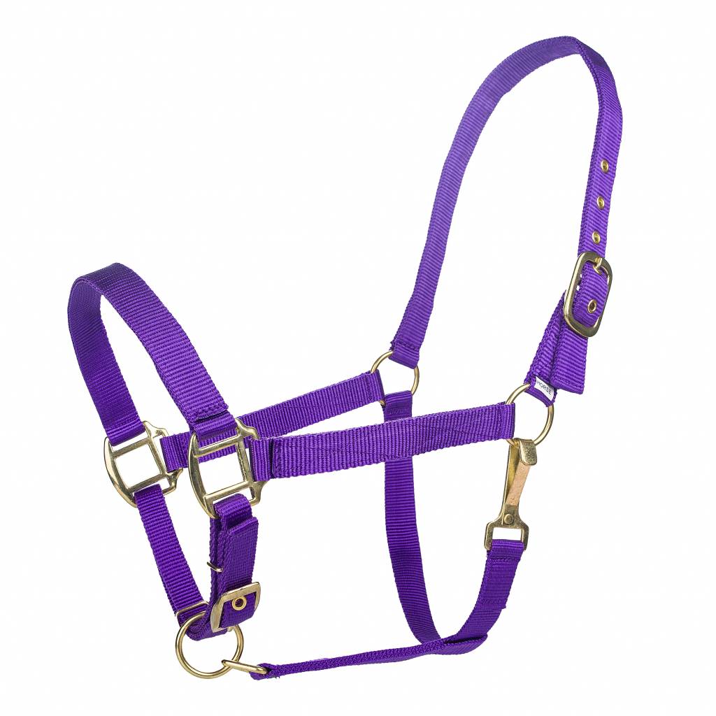 Tabelo Nylon Halter with Snap & Adj Chin