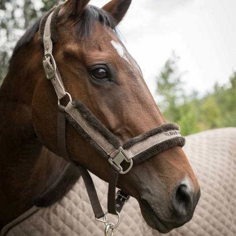 Back on Track Haze Collection Halter