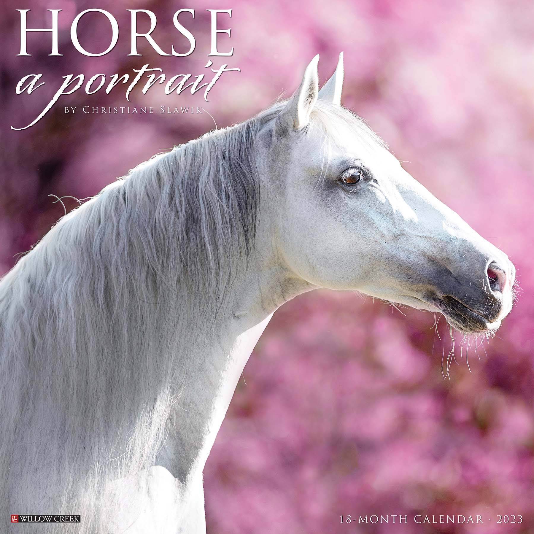 Kelley Horse A Portrait 2023 Calendar