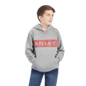 Ariat Kids Basic Hoodie Sweatshirt