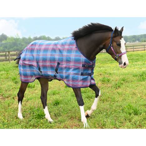 Kensington Horse SureFit Textilene Sheet