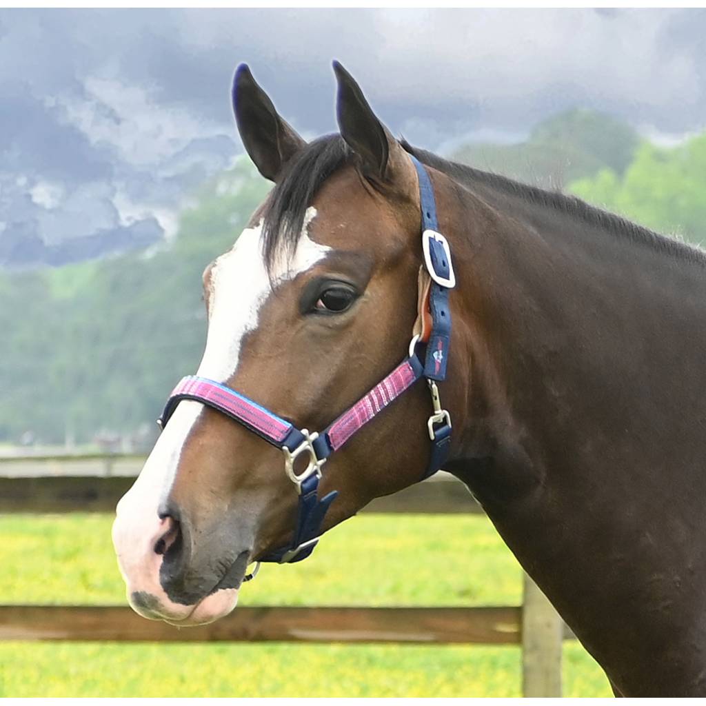 Kensington Premium Nylon Breakaway Halter With Padded Nose