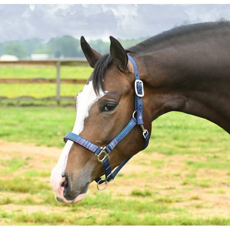 Kensington Premium Nylon Halter With Padded Nose