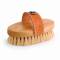 Cowgirl White Tampico Oval Brush