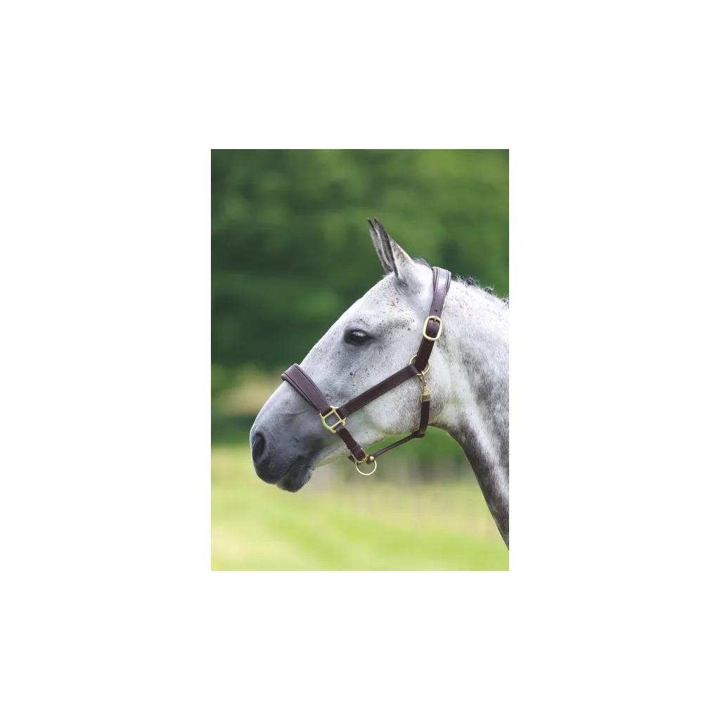 Shires Blenheim Leather Travel Headcollar