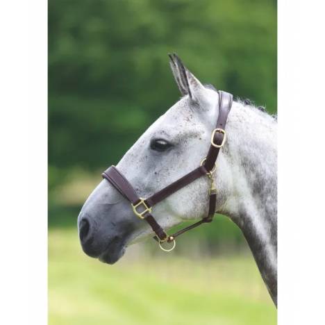 Shires Blenheim Leather Travel Headcollar