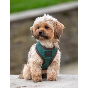 Shires Digby & Fox Quilted Harness