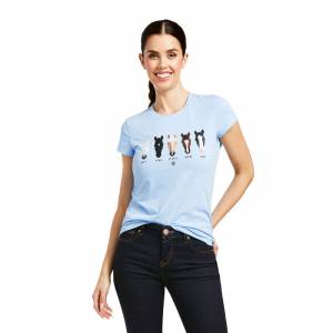 Ariat Ladies Identity Parade Short Sleeve T-Shirt