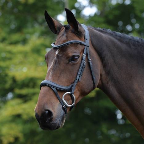 Collegiate Comfort Crown Fancy Stitched Raised Cavesson Bridle