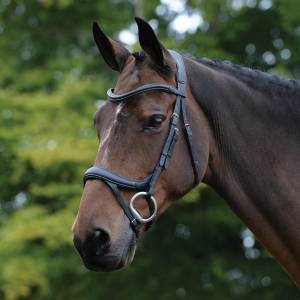 Collegiate Comfort Crown Fancy Stitched Raised Cavesson Bridle