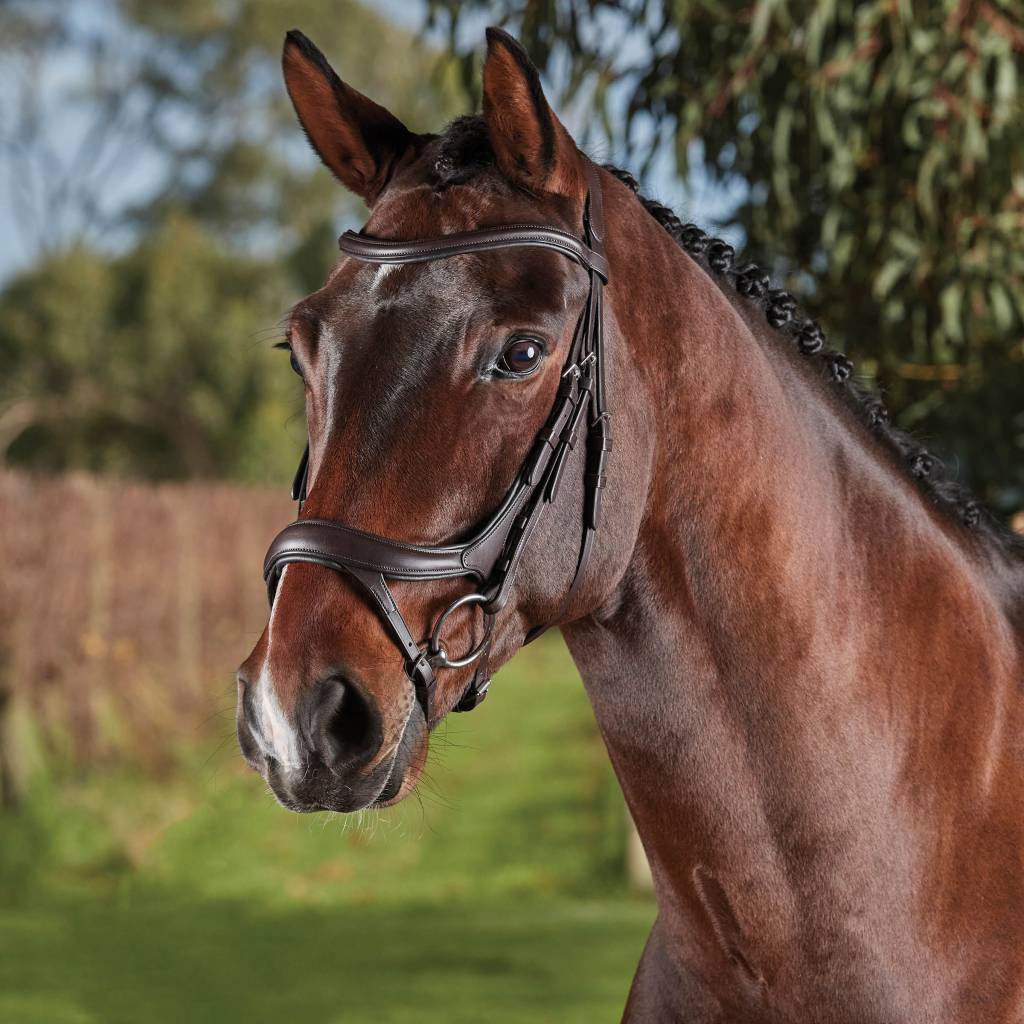 Collegiate Comfort Crown Fancy Stitched Raised Cavesson Bridle