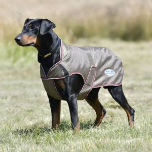 Weatherbeeta ComFiTec Windbreaker Free Deluxe Dog Coat