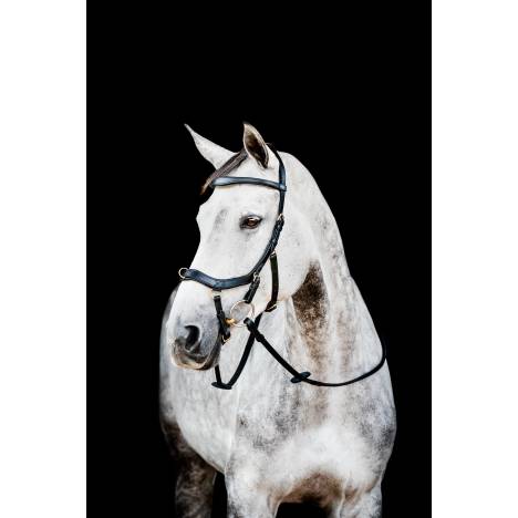 Horseware Micklem 2 Multi Bridle with Rubber Reins