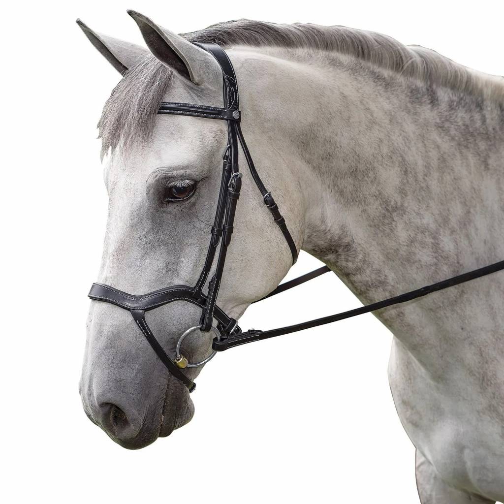 M. Toulouse Hybrid Dressage Bridle