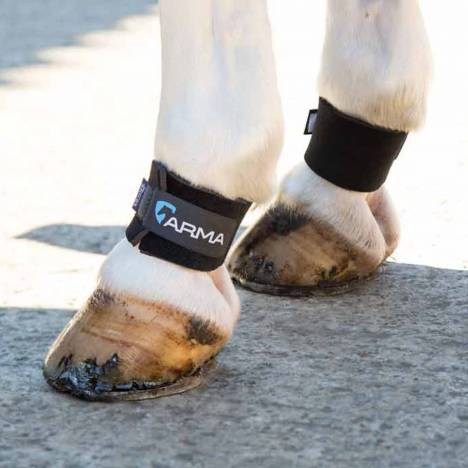 Shires Arma Pastern Wraps