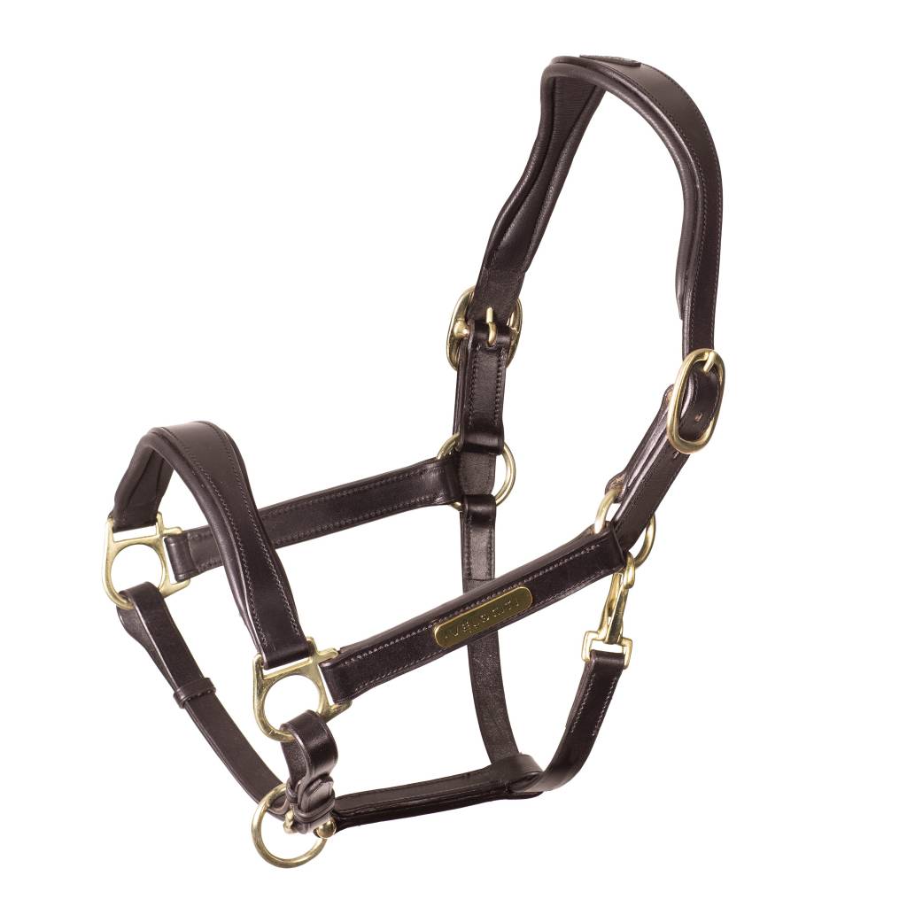 Shires Velociti Rapida Cushioned Leather Headcollar