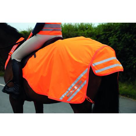 Shires Equi-Flector Mesh Exercise Sheet
