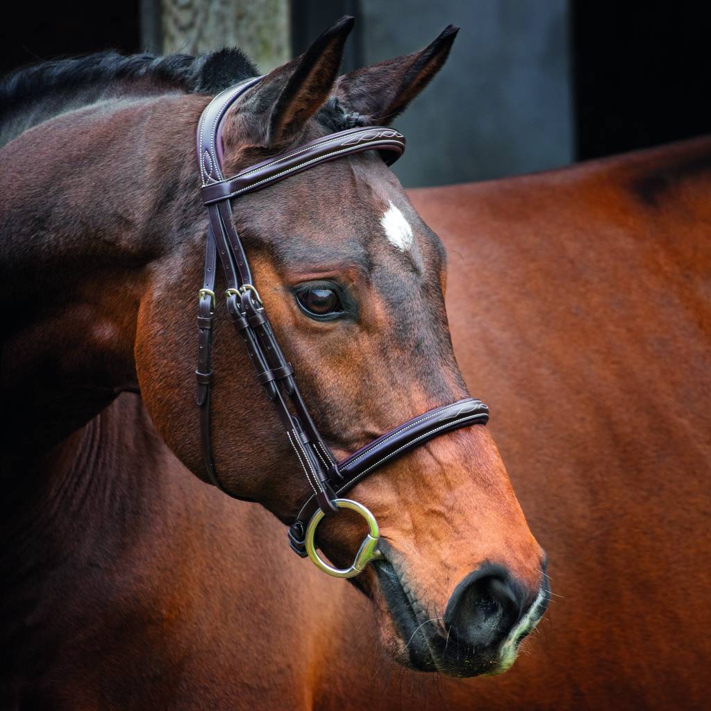 Shires Velociti Lusso Hunter Cavesson Bridle